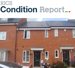 RICS Condition Report