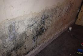 Damp and mould
